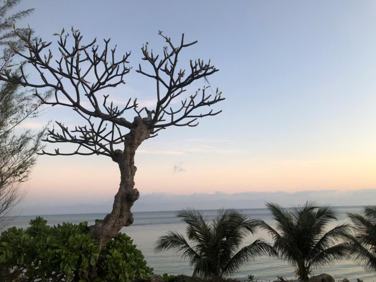 Orson Hotel & Resort Con Dao Chi Khu Co Ong Kültér fotó